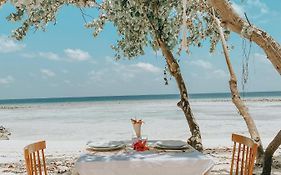 Tranquila Maldives